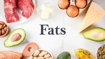 Understanding Fats in Food