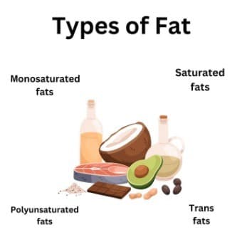 Types of fats