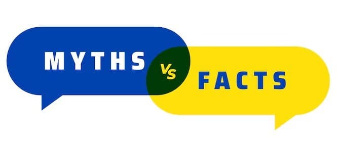 Protein Bars For Weight Gain: Myths Vs Facts