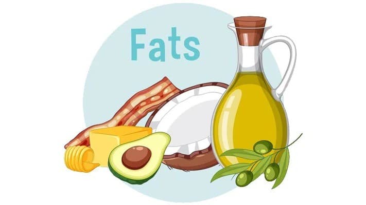 How to Incorporate Healthy Fats into Your Diet for Optimal Wellness