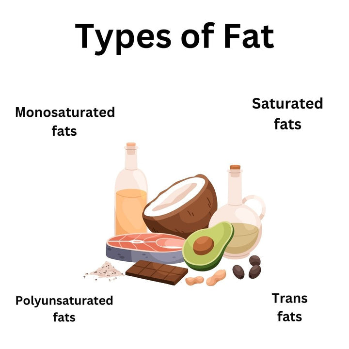 What are the importent types of Fats | Explore now – Adishtu