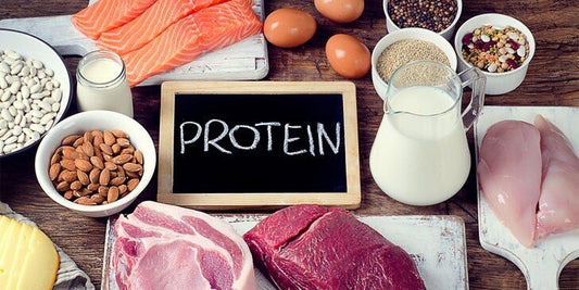 What is Protein and why our body needs protein?